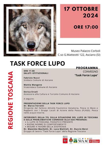 Task Force Lupo - 17 ottobre ore 17 